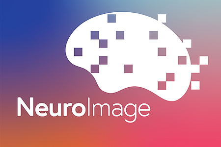Logo und Illustration der Publikation Neuroimage